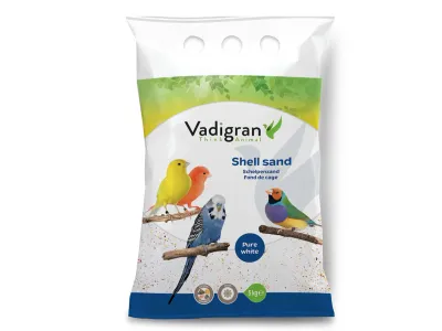 Shell Sand White