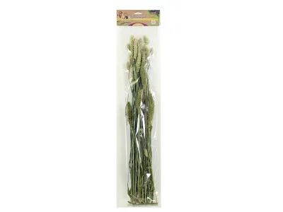 Pet Bouquet Chew Field – Esve