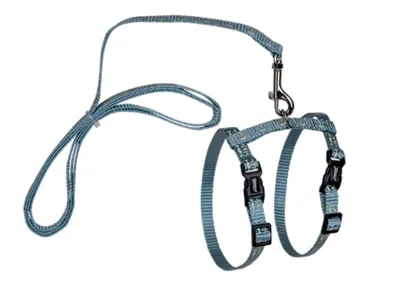 Cat Harness + Leash Glow Up Blue