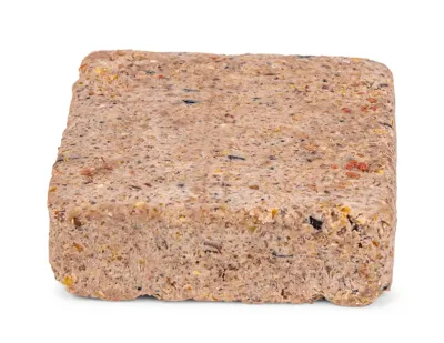 Fat Block with Seeds – Emma's Garden