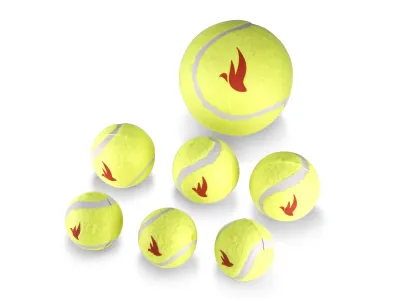 Tennisballen voor honden 3 stuks – Geel
