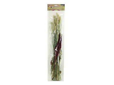 Pet Bouquet Knabbelstruik – Esve