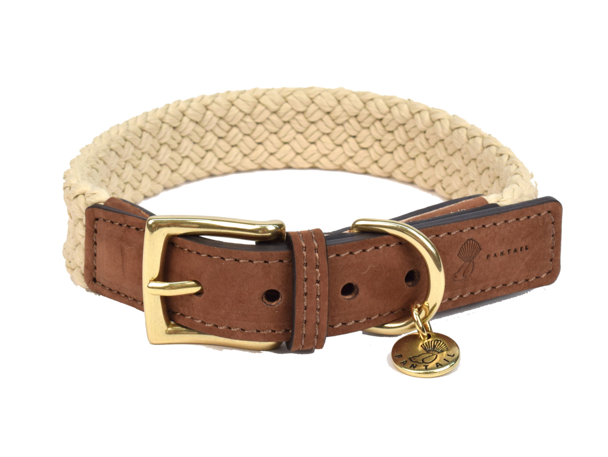 Dog with premium leather collar walking in nature - Fantail Nubu collection at Bopets