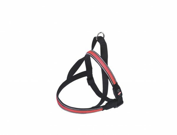 LED Harnas Flash Mesh rood S 60-75cmx25mm USB