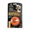 Starmark Everlasting Treat Bento Ball Ø 6,5cm S