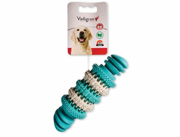 Speelgoed hond rubber Dental fun been munt 15cm