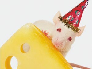 3D Wenskaart Mouse Party