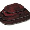 Kussen All Season bordeaux 100x65cm