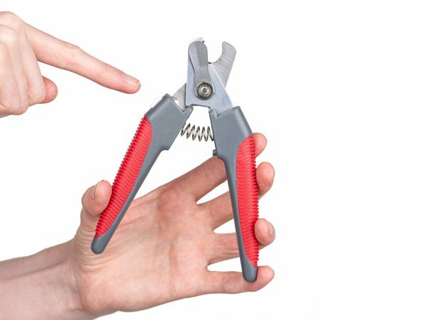 Nagelknipper L