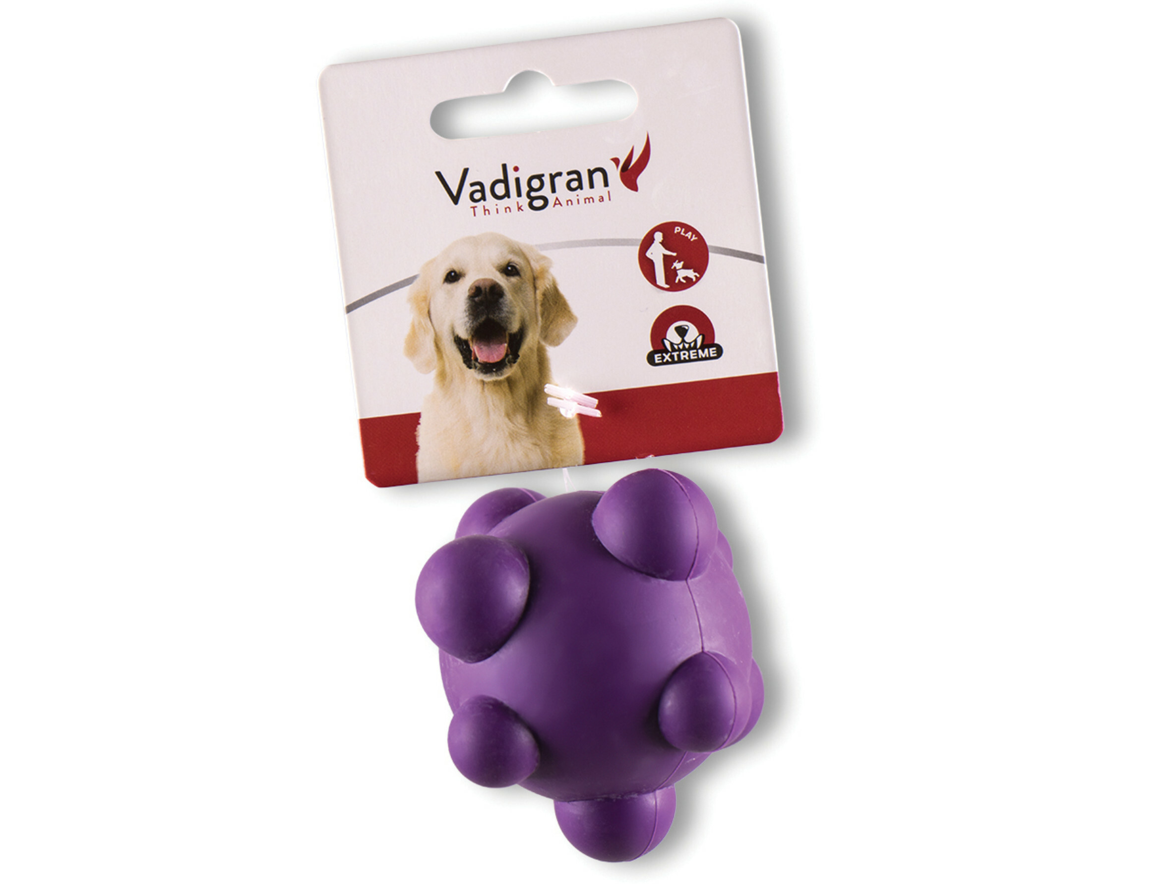 Naschrift Decimale Voetganger Speelgoed Hond Rubber Bal Met Noppen Paars Ø7cm | Bopets