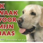 Volgende productafbeelding