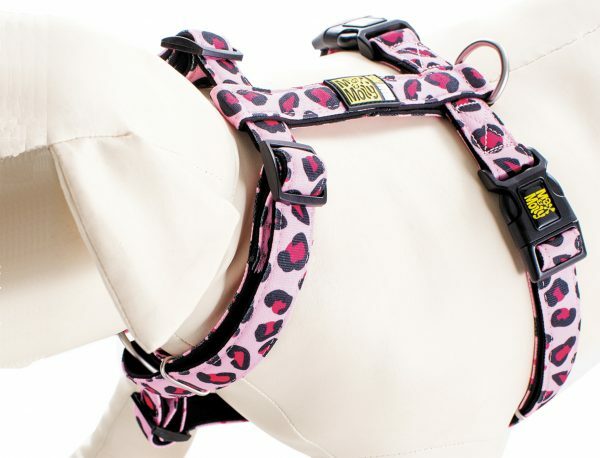 Harnas Leopard Pink S nek 30-46cm borst 44-52cm