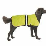 Volgende productafbeelding