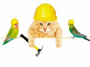 3D Wenskaart Animals Working