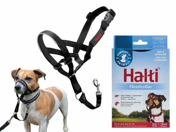 HALTI Headcollar zwart 1