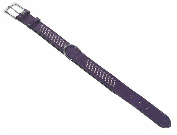 Halsband hond leder Shiwa paars 50cmx40mm