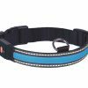 LED Halsband Flash Mesh blauw L 45-63cmx25mm USB