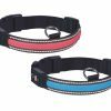 LED Halsband Flash Mesh blauw L 45-63cmx25mm USB