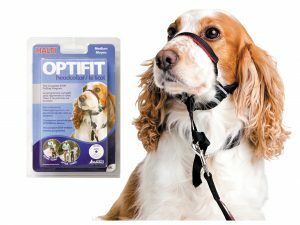 HALTI Optifit Headcollar M