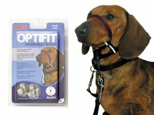 HALTI Optifit Headcollar S