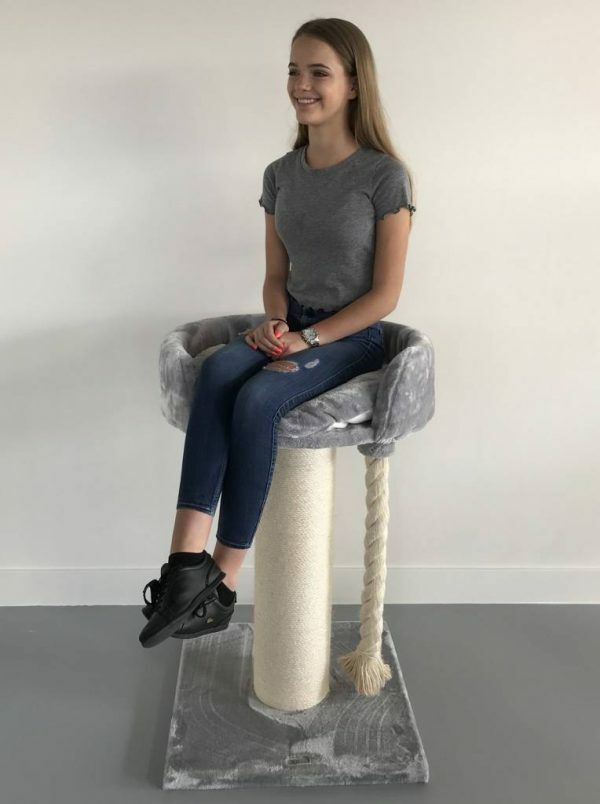 Krabpaal Chartreux Light Grey