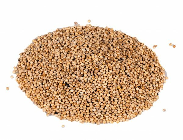 Product afbeelding