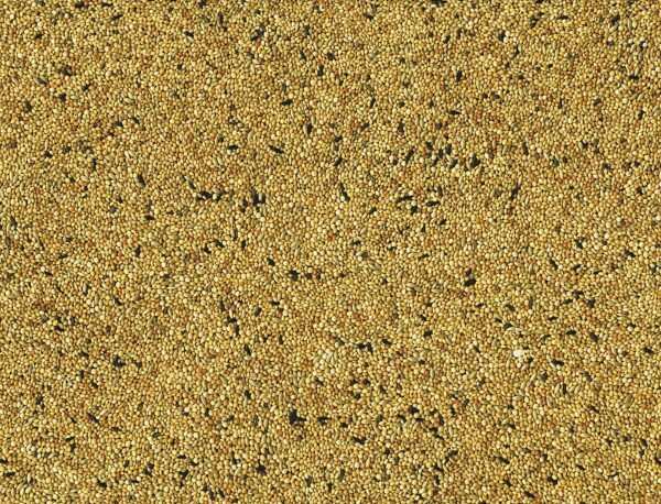 Tropische Vogels Original 20 kg