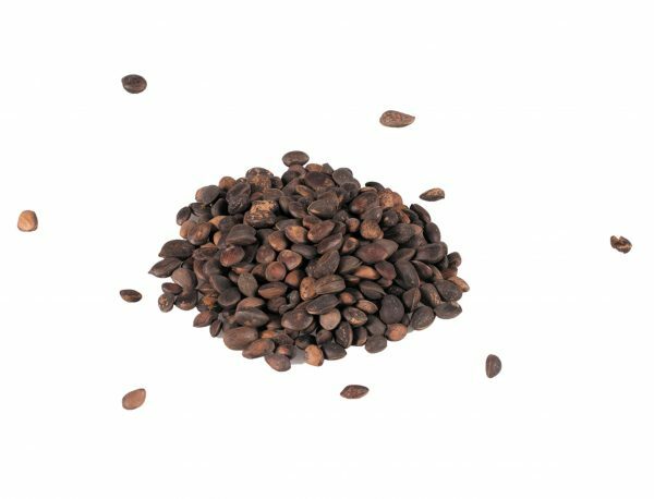 Cedernoten 800g