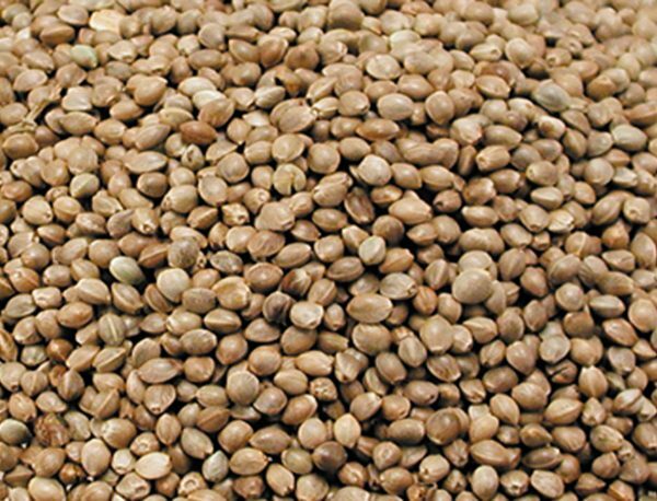 Kempzaad vogels 800 gr