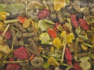 VDG Premium chinchilla  12,5 Kg