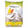 Kanaries Color 20 kg
