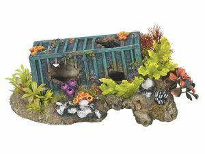 Aqua Deco CONTAINER+GROENE KORAAL 230x135x100mm