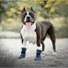 Ami Schoenen hond Bristol marine 6x7x10cm M