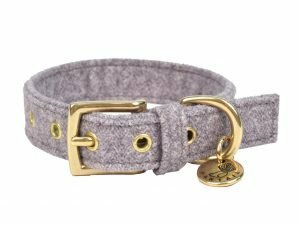 Halsband hond StØv lichtgrijs 40cmx20mm S