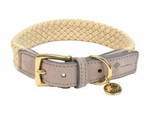 Halsband hond Tau grijs 55cmx25mm XL