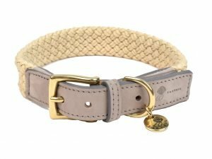 Halsband hond Tau grijs 40cmx25mm S