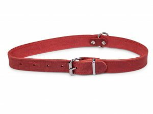 Halsband geolied leder rood 60cmx25mm XL
