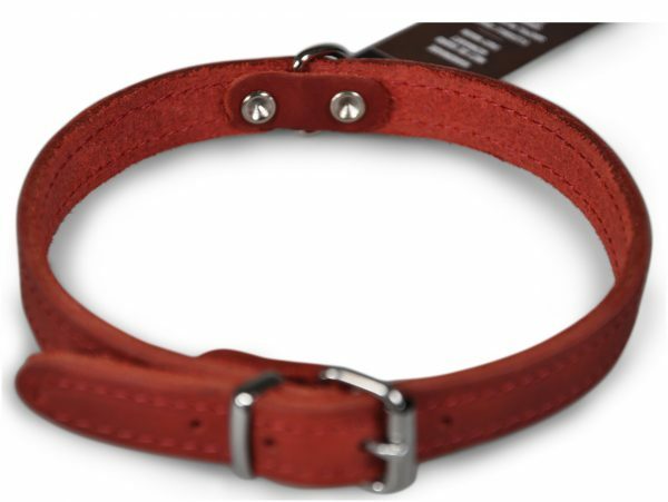 Halsband geolied leder rood 37cmx14mm S