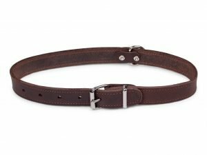 Halsband geolied leder bruin 70cmx30mm XXL