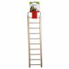 Speelgoed vogel ladder hout 10 sporten 42x10,5cm