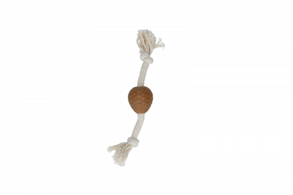 AFP Wild & Nature - Woody pine cone wih rope S