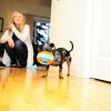 Chuckit Indoor Roller 12 cm