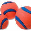 Chuckit Ultra Ball S 5 cm 2 Pack