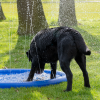 CoolPets Splash Pool Sproeier