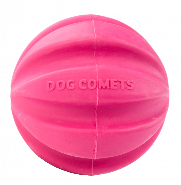 Dog Comets Ball Halley Roze