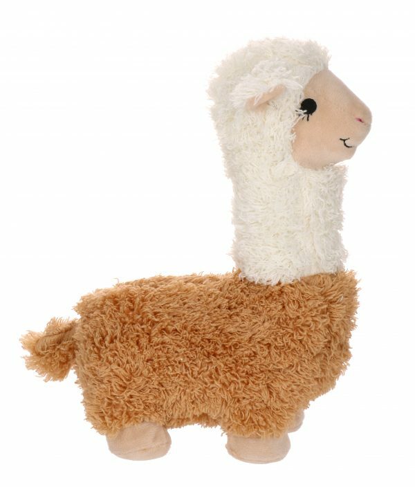 Dolly Llama