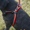 Easy Walk Handmodel Rood