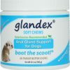Glandex Soft Chew 240 g (60 treats)