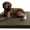 HD Dog Bed M