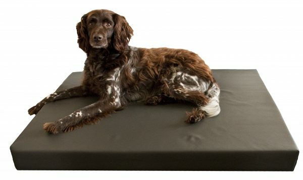 HD Dog Bed M